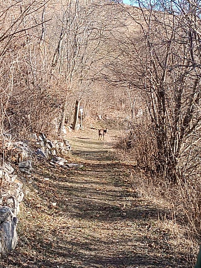 
                  
                    
                     Xiaomi 
                     2303CRA44A 
                  
                  