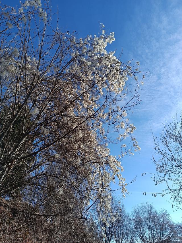 
                  
                    
                     Xiaomi 
                     2303CRA44A 
                  
                  