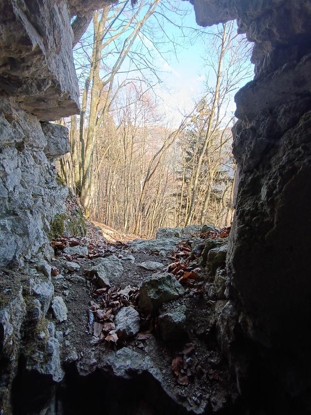 
                  
                    
                     Xiaomi 
                     2303CRA44A 
                  
                  