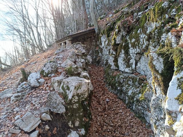 
                  
                    
                     Xiaomi 
                     2303CRA44A 
                  
                  