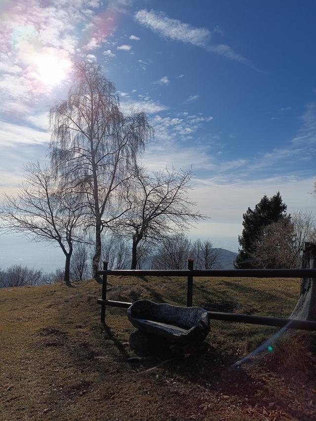 
                  
                    
                     Xiaomi 
                     2303CRA44A 
                  
                  