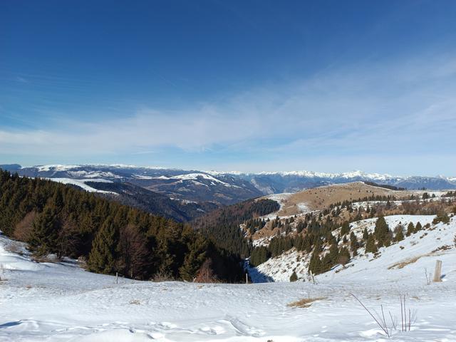 
                  
                    
                     Xiaomi 
                     2303CRA44A 
                  
                  