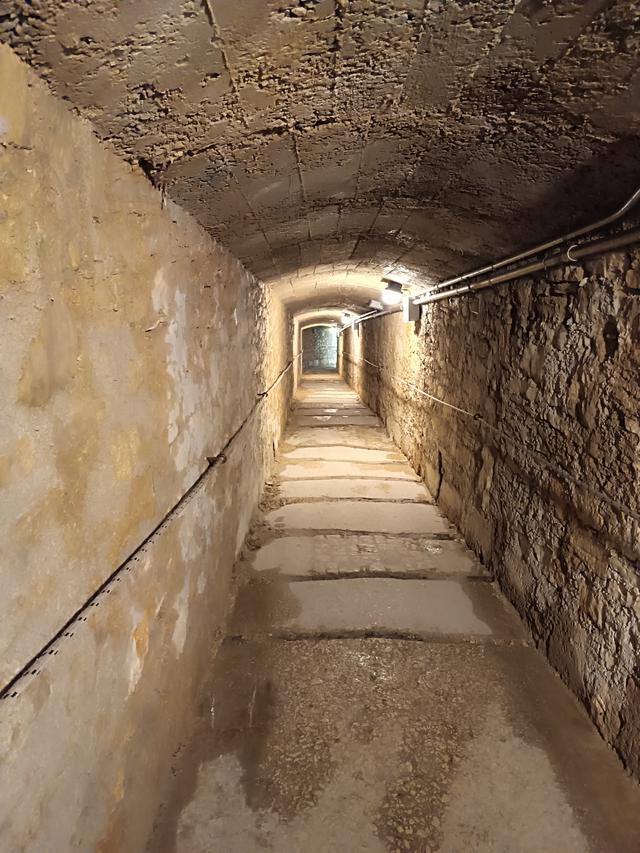 
                  
                    
                     Xiaomi 
                     2303CRA44A 
                  
                  