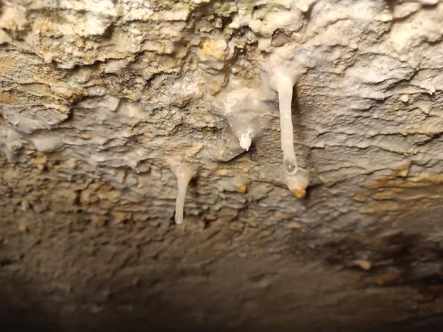 
                  
                    
                     Xiaomi 
                     2303CRA44A 
                  
                  