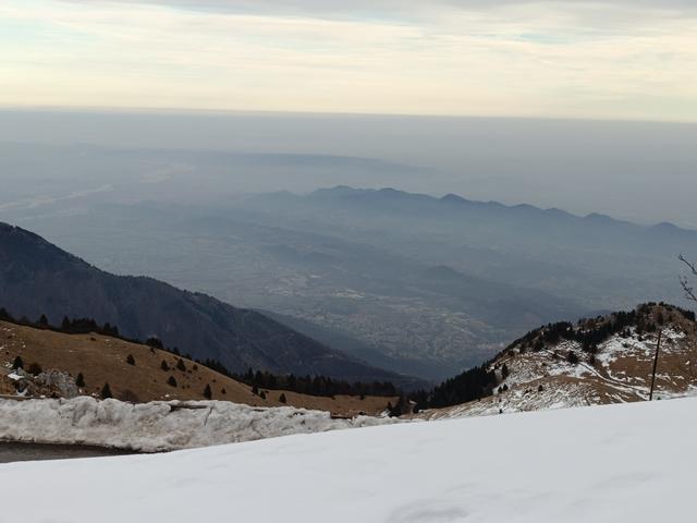 
                  
                    
                     Xiaomi 
                     2303CRA44A 
                  
                  