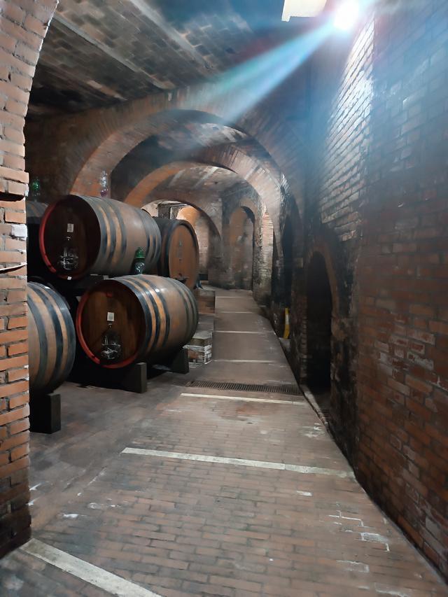 
                  
                    
                     Xiaomi 
                     2303CRA44A 
                  
                  