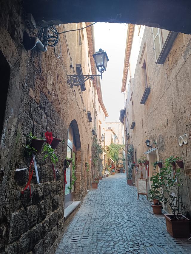 
                  
                    
                     Xiaomi 
                     2303CRA44A 
                  
                  