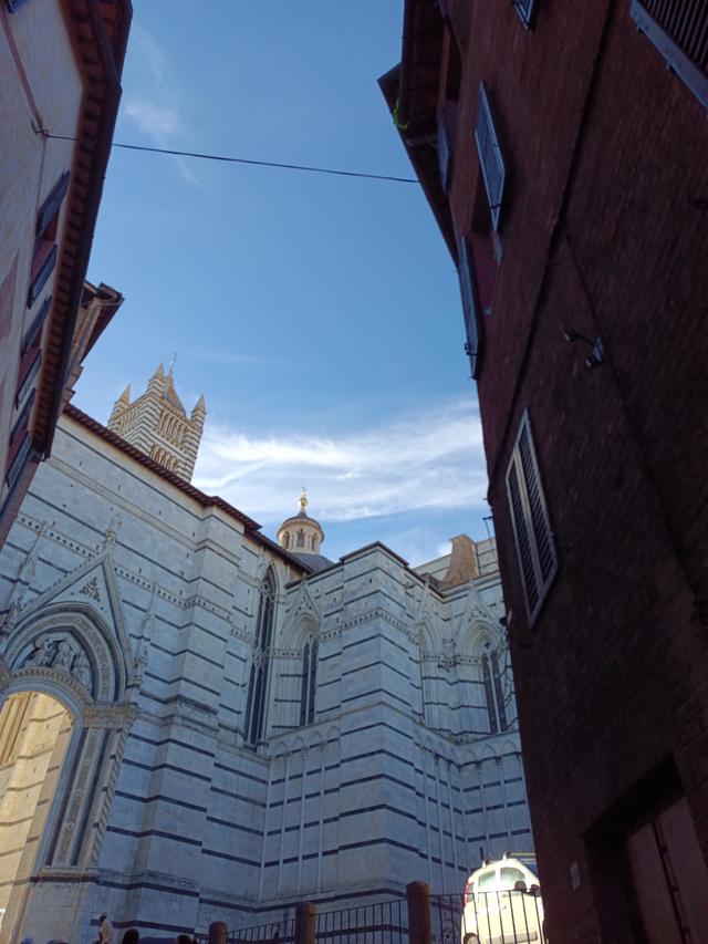 
                  
                    
                     Xiaomi 
                     2303CRA44A 
                  
                  