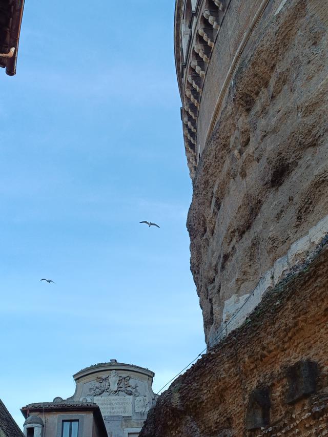 
                  
                    
                     Xiaomi 
                     2303CRA44A 
                  
                  