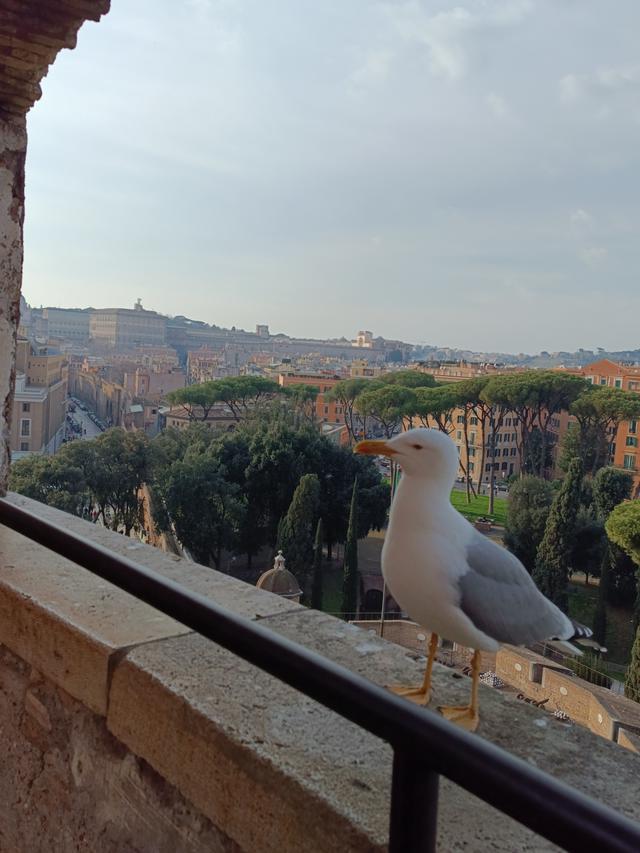 
                  
                    
                     Xiaomi 
                     2303CRA44A 
                  
                  