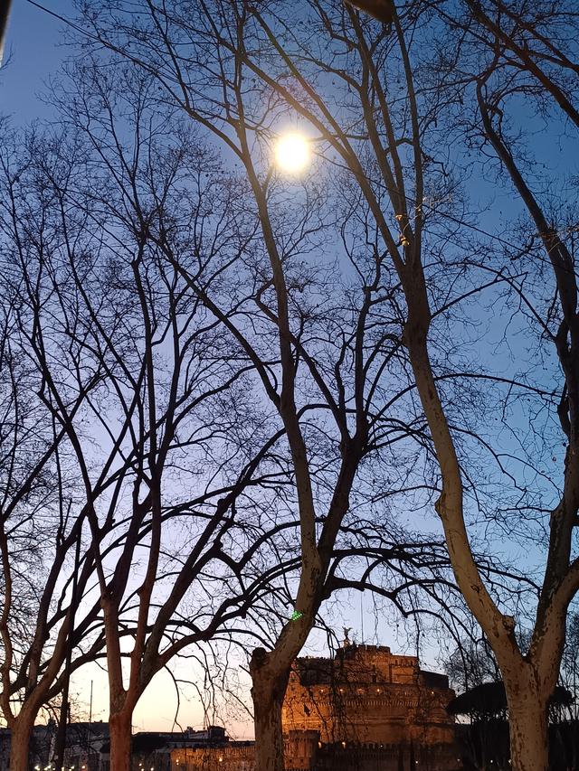 
                  
                    
                     Xiaomi 
                     2303CRA44A 
                  
                  