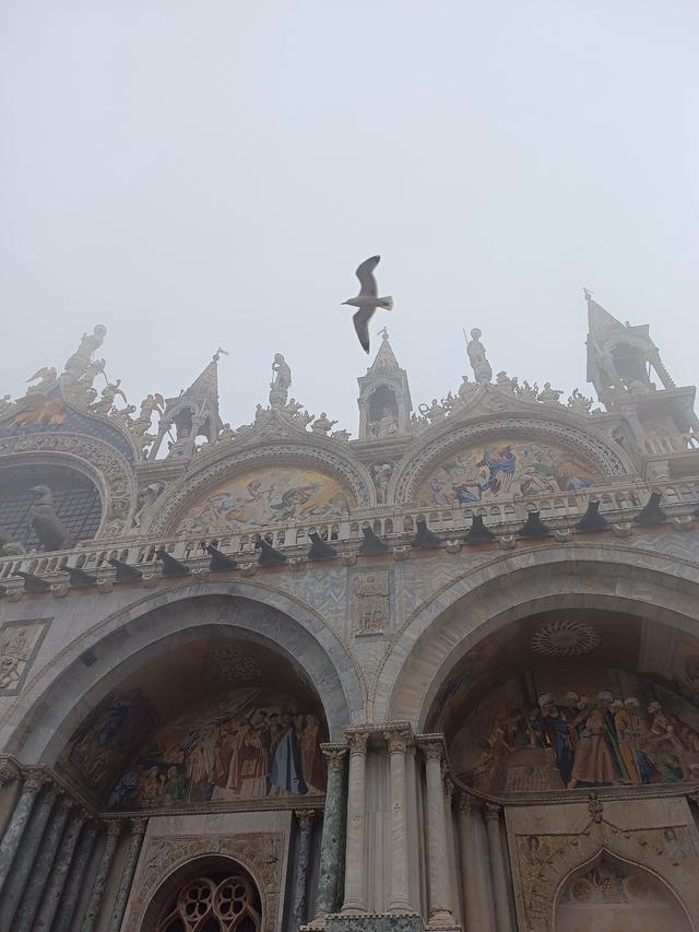 
                  
                    
                     Xiaomi 
                     2303CRA44A 
                  
                  