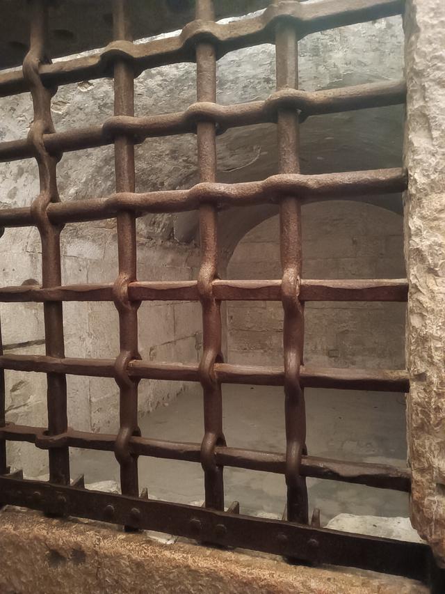 
                  
                    
                     Xiaomi 
                     2303CRA44A 
                  
                  