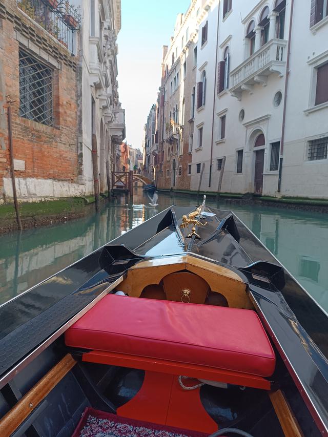 
                  
                    
                     Xiaomi 
                     2303CRA44A 
                  
                  