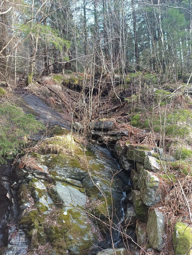 
                  
                    
                     Xiaomi 
                     2303CRA44A 
                  
                  