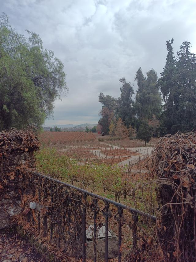 
                  
                    
                     Xiaomi 
                     2303CRA44A 
                  
                  