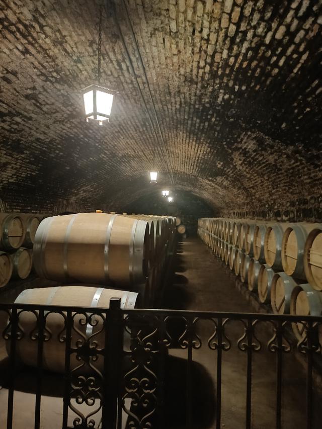 
                  
                    
                     Xiaomi 
                     2303CRA44A 
                  
                  