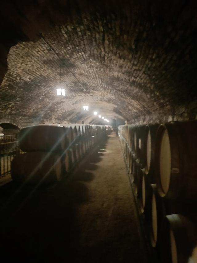 
                  
                    
                     Xiaomi 
                     2303CRA44A 
                  
                  