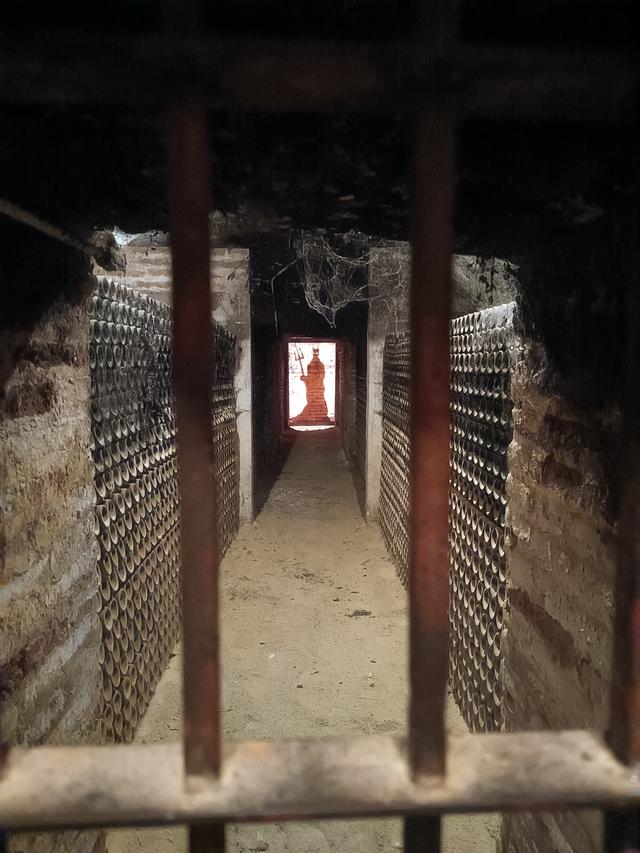 
                  
                    
                     Xiaomi 
                     2303CRA44A 
                  
                  