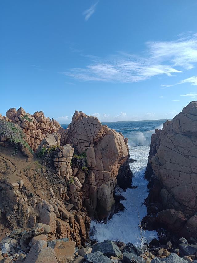 
                  
                    
                     Xiaomi 
                     2303CRA44A 
                  
                  