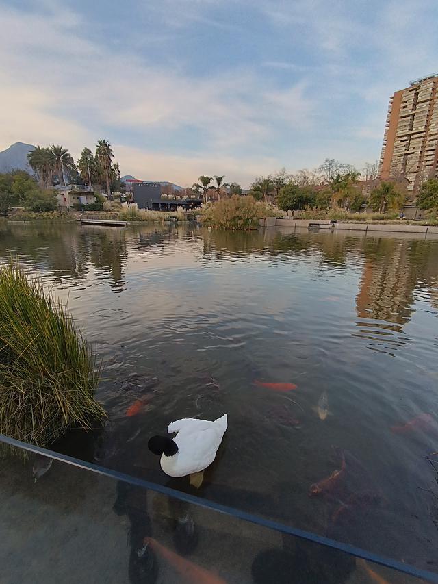 
                  
                    
                     Xiaomi 
                     2303CRA44A 
                  
                  